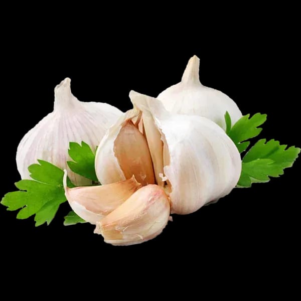 Garlic